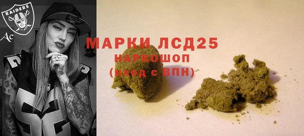 гидра Семикаракорск