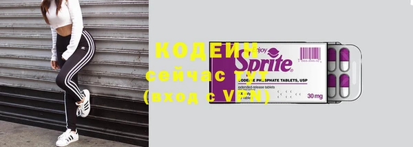 сатива Грязи