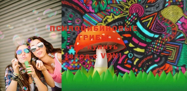 амф Слюдянка
