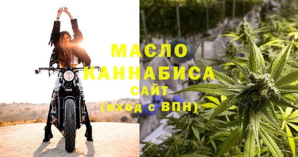 амф Слюдянка