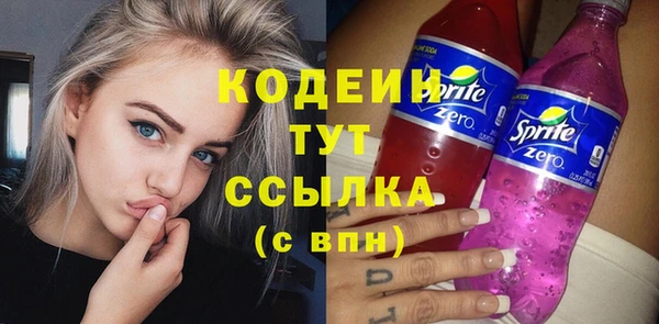 соль ск Снежинск