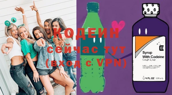 соль ск Снежинск