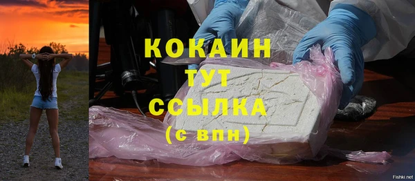 амф Слюдянка