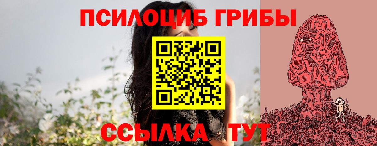 Баксан  Псилоцибиновые грибы Cubensis  Вход с VPN 